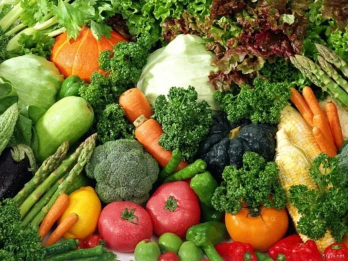 Blumenau recebe visita técnica para fortalecer políticas de segurança alimentar.