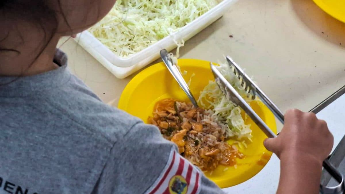 Merenda no lixo quase zera após virada de chave contra o desperdício em escola de Blumenau