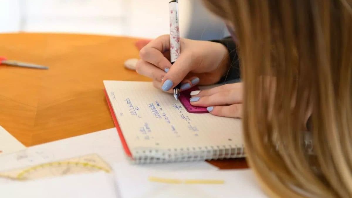 Homeschooling: entenda prática que multou casal de Blumenau