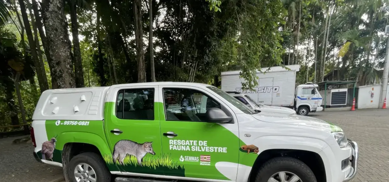 Blumenau implementa programas para resgate de animais silvestres - Visor Notícias