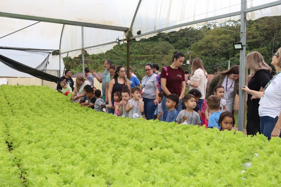 Alunos da rede municipal de Blumenau descobrem a origem dos alimentos da merenda escolar em visita a produtores