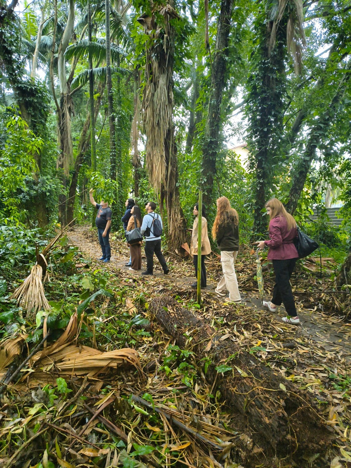 Professores de Blumenau participam de formação sobre aves da Mata Atlântica